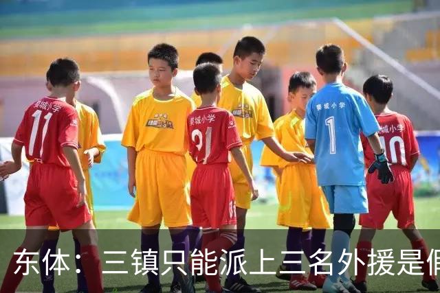 东体：三镇只能派上三名外援是假消息 于根伟边直播边看球